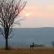 Lonely Hartbeest under African Sunset-Mlilwane, Swaziland