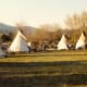 The Mountain Man Festival