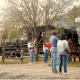 Felton Narrow Gauge Train
