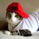 This bad boy is down with gangsta yoga. Are you?