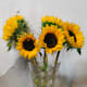 A Monet - love how this placed against the peeling wall -