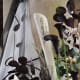 Flowers and Sheet Music