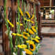 Arranged by Jackie Aldous