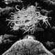 prayer-of-the-old-ones-lovecraftian-hymn