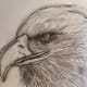 He Bore Us On Eagle's Wings