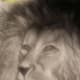 Untitled. I love this whimsical nature of God portrait.