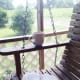 Living that front porch life.