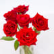 a-valentines-day-to-remember-not-that-way