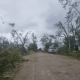 Street in Front of Embers After Tornado