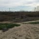 Dry Riverbeds are sought out by the resilient