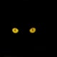the-black-cat-a-poem