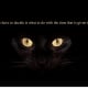 the-black-cat-a-poem