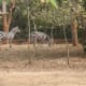 travel-diary-india-visit