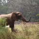 travel-diary-india-visit