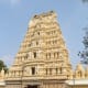 travel-diary-india-visit