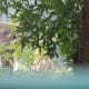 travel-diary-india-visit