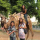 travel-diary-india-visit