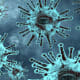 Epidemic: Image by Syaibatul Hamdi from Pixabay