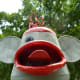 Headshot of “Sock Monkey” by Joe Barrington in True South sculpture exhibit Houston