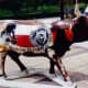 UTopian Steer