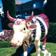 Haute Cowture