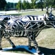 Tattooed Bovine