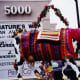 Vaca Pinata