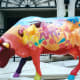 Running of the Cows