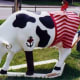 Captain Hoof by Elkins High School