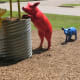 Pigs part of the sculpture