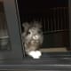 Looking for a treat