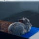 Snooze time