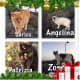 feral-cats-of-playa-blanca-lanzarote-part-two