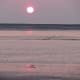 Pink Waters