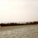 Shipwreck on Berrow Beach