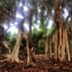 Hobe Sound, Florida