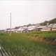 Korea countryside, August 1991.