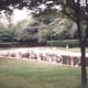 A Korean zoo, 1991.