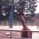A giraffe at a Korean Zoo, 1991.