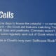 Explanation of Cells