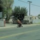 A shirtless man moves a strange machine along Beardsley Avenue