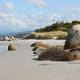 Tasmanian beach