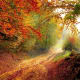 glory-road-a-poem-to-inspire
