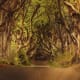 glory-road-a-poem-to-inspire