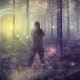 Look for the light
