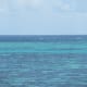 Colours above the Coral Reef