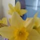 poetry-month-april-words-2-poems-discussion-words-from-the-wise-others