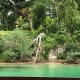 notes-from-a-small-island-the-innocents-abroad-part-3