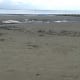 Footprints in the Sand - gone at high tide!