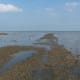 Start of the Broomway, Wakering Stairs